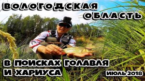 Хариус, голавль на родине Деда Мороза =) в Великоустюгском районе, Вологодской области