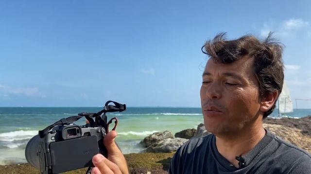 Reseña de la cámara Canon EOS RP смотреть онлайн