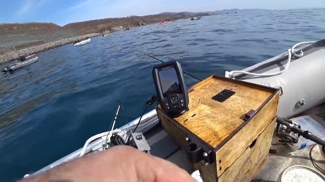 Подводные съемки минтая, ходовые испытания эхолота Garmin Striker 4dv смотреть онлайн