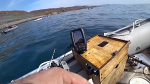 Подводные съемки минтая, ходовые испытания  эхолота Garmin Striker 4dv