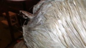 ТЕСТИРУЕМ Garnier / Стойкая питательная крем-краска для волос "Color Naturals"#colornaturals ??