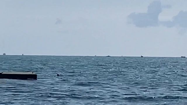 07.10.2023. Погода в Сочи в октябре. Смотри на Чёрное море каждый день.