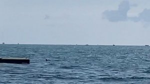 07.10.2023. Погода в Сочи в октябре. Смотри на Чёрное море каждый день.