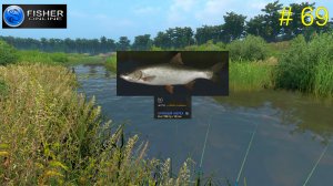 река Пра. ч.18  На пути к серебряному трофею: изобилие крупного жереха.  # 69  Fisher