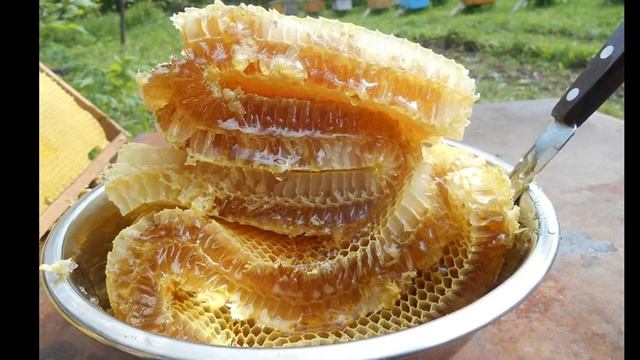 Наше вкусное сладкое лакомство! Как пчёлы делают мёд, виды мёда, и наши мысли о мёде.