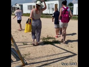 #должанскаякоса или Коса Долгая   Ракушечный пляж