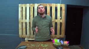 О дрожжах Fermentis | Проблемы брожения | Стратегия 21