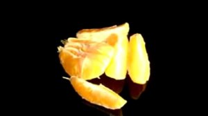 Академик Уголев  Теория адекватного питания ПИТАНИЕ РАЗВИТИЕ ВЗРОСЛЫМ РАЗВИВАЮЩИЕ ФИЛЬМЫ