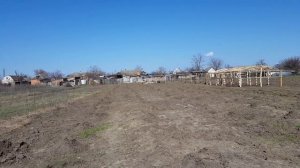 Виноградник - начало, закладка винограда, устройство шпалер, борьба с сорняками на винограднике.