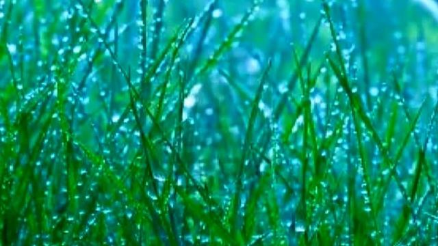 Быстрое снятия стресса страха невроз смотреть онлайн