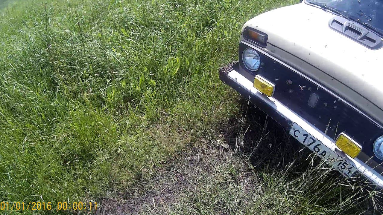 450 км чтобы увидеть откуда берутся пауты (оводы) смотреть онлайн