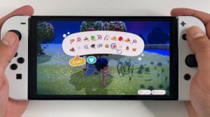 Animal Crossing: New Horizons OLED Nintendo Switch Gameplay