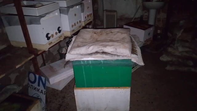 25 февраля 2024 г. смотреть онлайн