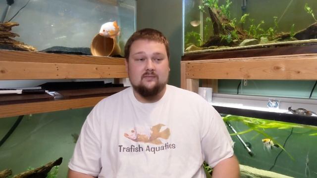 Aquarium Maintenance Tips - How to remove Nitrate смотреть онлайн