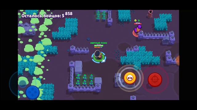 МИРНОГО ПОКО НАДО АПНУТЬ НА 500 КУБКОВ? ВОЗМОЖНО ЛИ ЭТО? BRAWL STARS смотреть онлайн