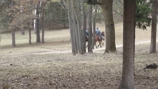 Кисловодск. Парк. Конная полиция.