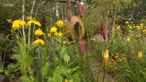 RHS Chelsea Flower Show 2021 - Episode 4