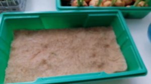 Зелёный ЛУК зимой не покупаю ,выращиваю быстрым способом !