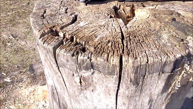 Обзор #объектив #Weltblick 35mm f2.8 смотреть онлайн