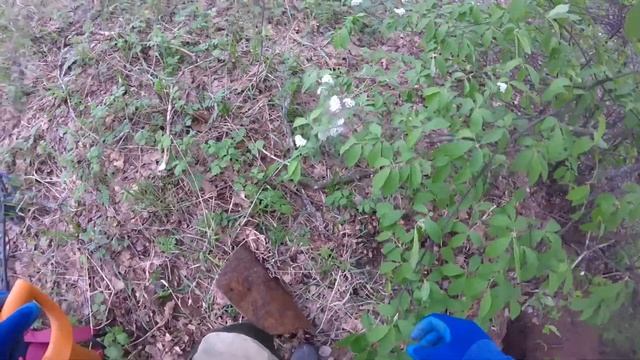 Что хранила опушка леса??? Находки века.... смотреть онлайн