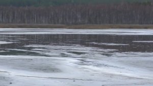 Красивое, но Мертвое и Вонючее Озеро Здохня в Екатеринбурге!