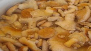 Тушеные волнушки