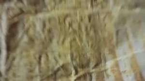 Прополис из холстиков легко!