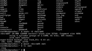 Uso de sysctl y variables de entorno del kernel en FreeBSD 12