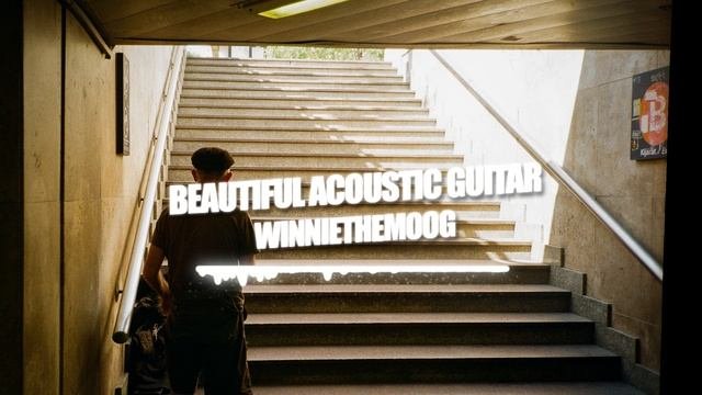 WinnieTheMoog - Beautiful Acoustic Guitar Melody