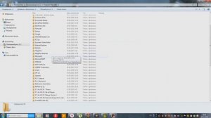 S.T.A.L.K.E.R.Упавшая звезда.Честь Наёмника-Исправляем вылет с костюмом