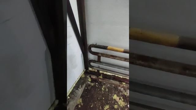 Гараж для ремонта спецтехники из сендвич панелей 15 метров длиной 6 метров шириной и 6 метров высот