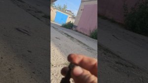 снимаем кардан  с Тойота Альфард MNH15