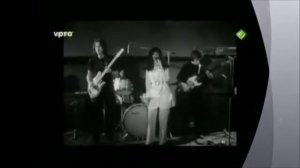 белая стрекоза любви трио