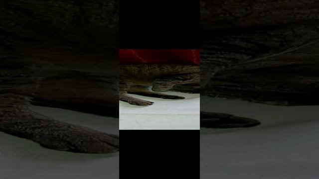 Лёха скоро родится? смотреть онлайн