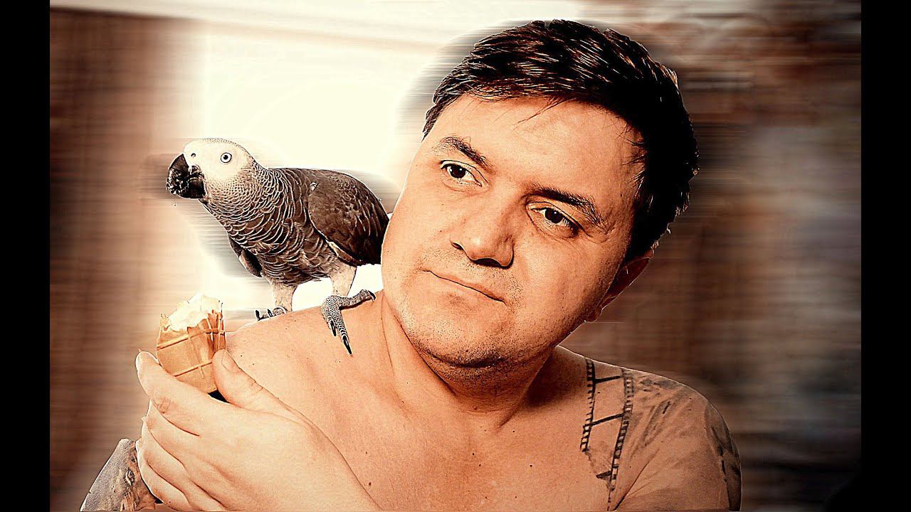 КОРОЧЕ ГОВОРЯ, мой ПОПУГАЙ отобрал у меня МОРОЖЕНОЕ...