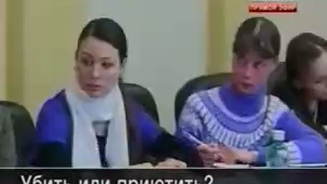 Бумажные методы борьбы с бродячими собаками смотреть онлайн