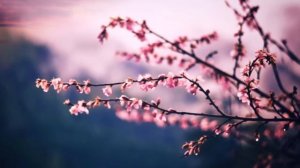 Потрясающая музыка для отдыха и релакса. #релакс#отдых#медитация#успокаивающая музыка.