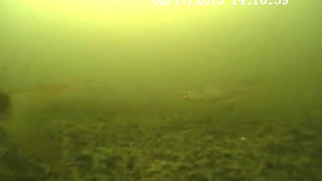 Вдхр Кутовщина смотреть онлайн