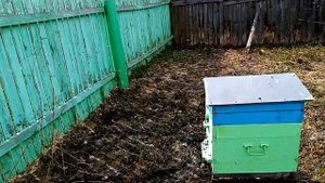 Перенос пчёл весной на новое место.Без потери пчёл.
