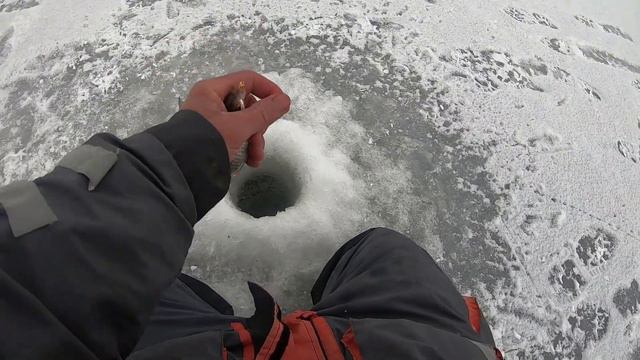 Крупная плотва на крашеное сало со льда! Тёплое озеро, Наха, Эстония. На Рыбалку, для души!!! смотреть онлайн