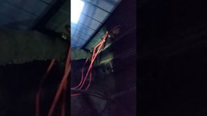 ремонт обогрева заднего стекла