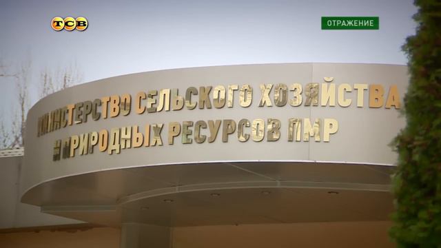 Приднестровье 2012-2016 гг. Министерская чехарда новейших времён смотреть онлайн