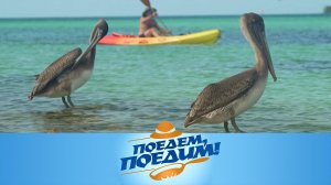 Куба: дорога посреди моря, заплыв под водопадом и закуска из сырой рыбы | «Поедем, поедим!»