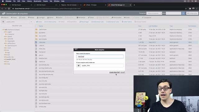 ERRO 404 no WordPress - Página Não Encontrada - Como Resolver ?? смотреть онлайн
