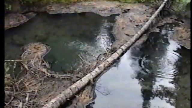 Путешествие в верховьях Оки смотреть онлайн