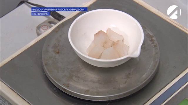 Россельхознадзор следит за качеством и безопасностью рыбной продукции на территории региона
