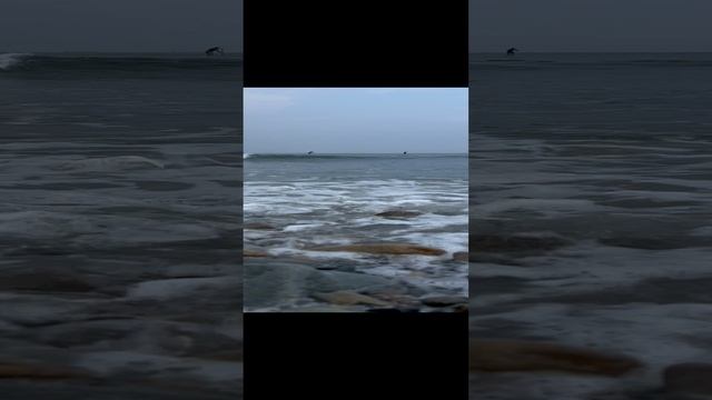 Японское море ?                                      Бухта Патрокл