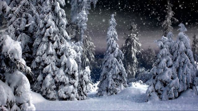 Зимний лес.- ( Футаж ) смотреть онлайн