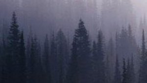 Чередой за вагоном вагон