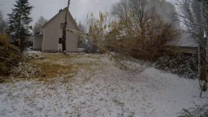 Валка дерева частями